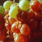 Caramel Apple Grapes 2 caramel apple grapes 2025 09 14 194111 150x150 1